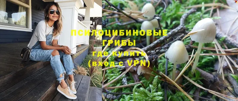 Псилоцибиновые грибы Psilocybe  Разумное 